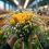 La Floristería del Futuro: Retro pero Futurista