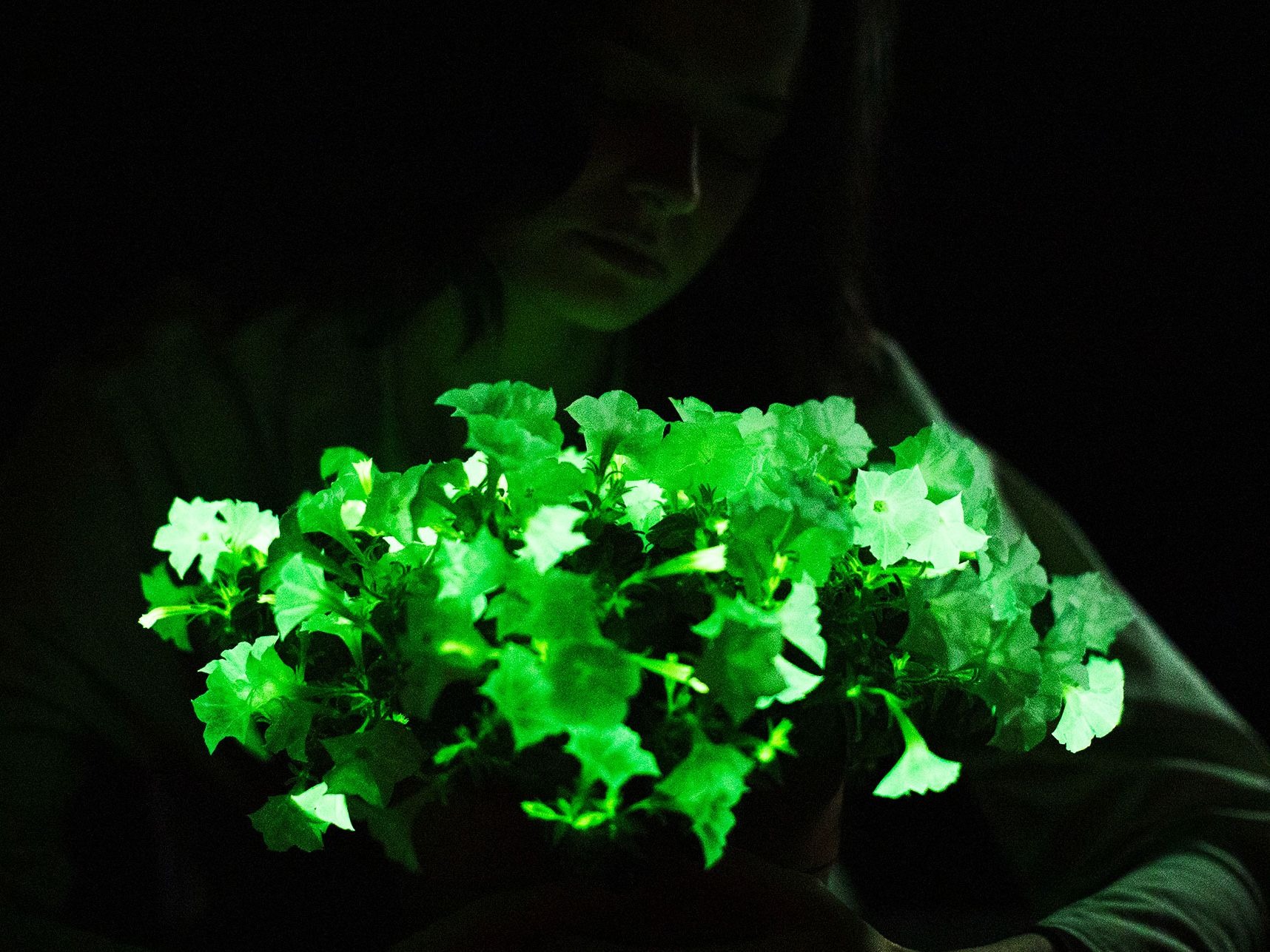 plant science 2728
