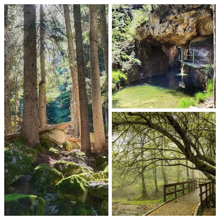 AP1GczP9eC nCSH2KKW7 KU3HB0PPJZz