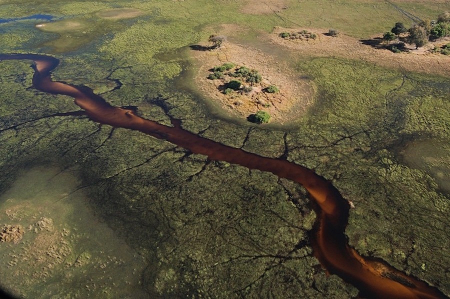 Bodas en El Okavango