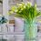 Usar Increíbles plantas y flores para una casa elegante