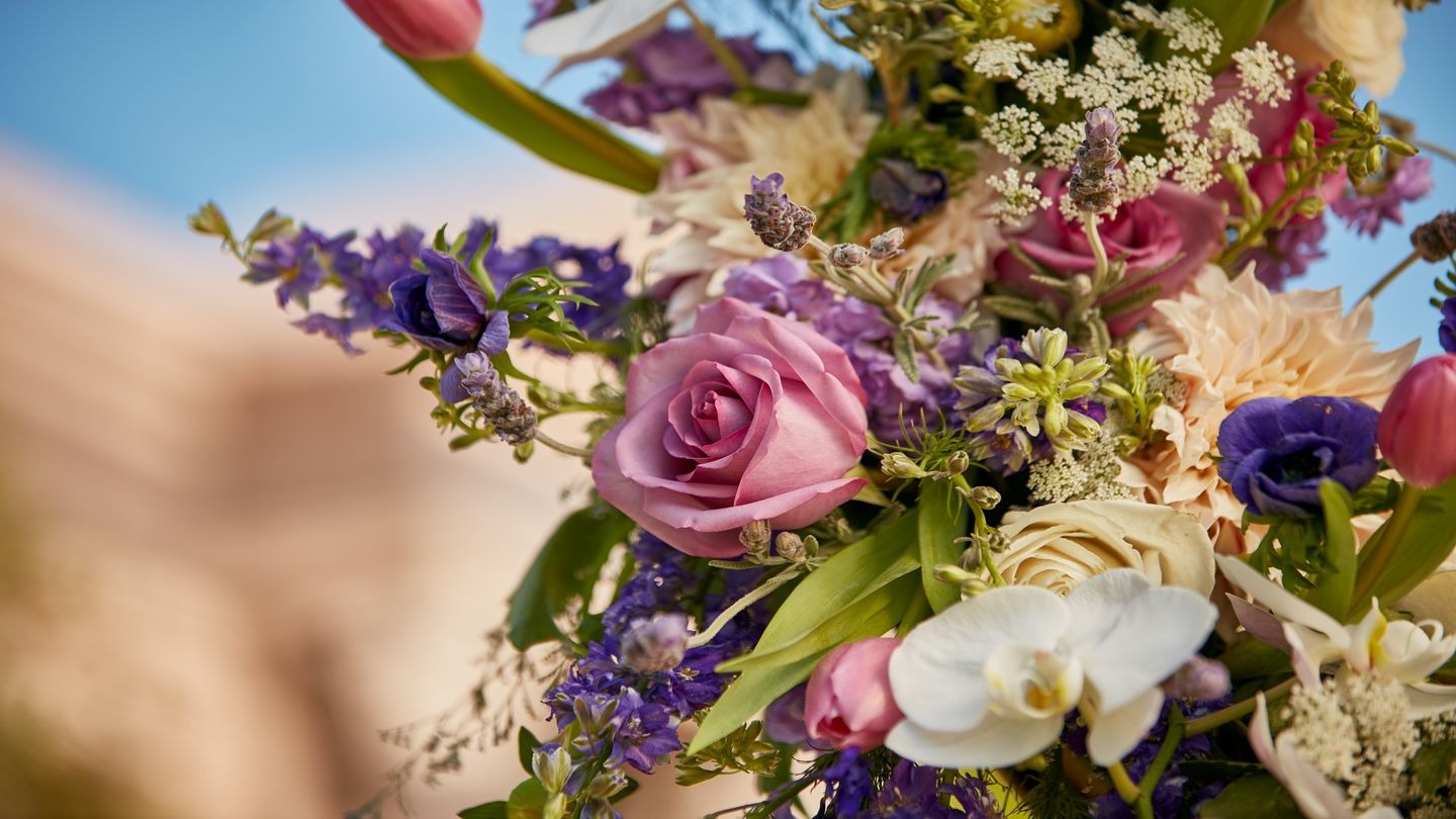 ¿Cual es la mejor flor de difuntos para un crematorio? Analizamos presente y futuro de las flores para defunciones.